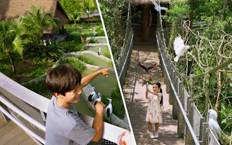 Children interacting with birds at a lush aviary during a VIP walking tour.