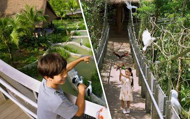 Children interacting with birds at a lush aviary during a VIP walking tour.