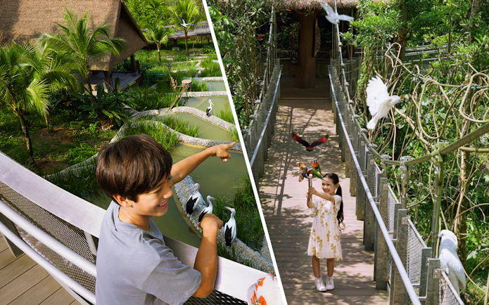 Children interacting with birds at a lush aviary during a VIP walking tour.