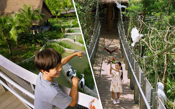 Combo: Bird Paradise Tickets + VIP Bird Discovery Tour