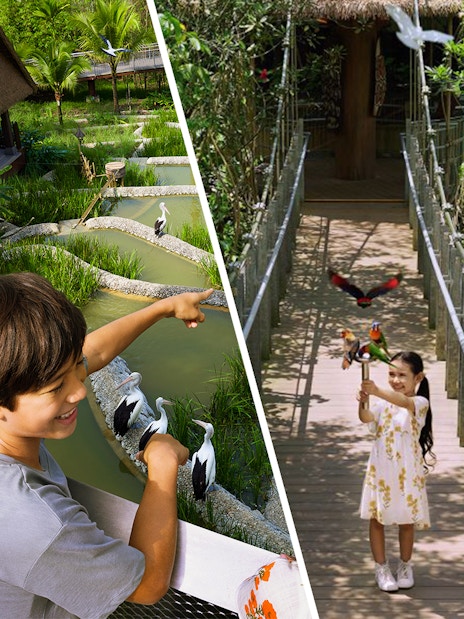 Children interacting with birds at a lush aviary during a VIP walking tour.