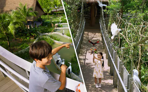 Children interacting with birds at a lush aviary during a VIP walking tour.