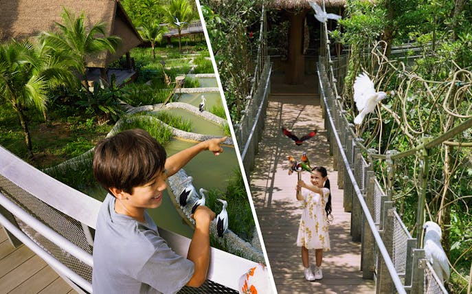 Children interacting with birds at a lush aviary during a VIP walking tour.