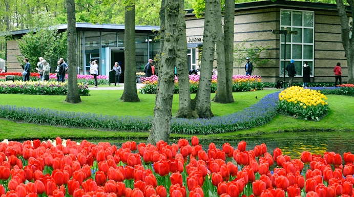Keukenhof garden with vibrant red tulips and visitors in Amsterdam.