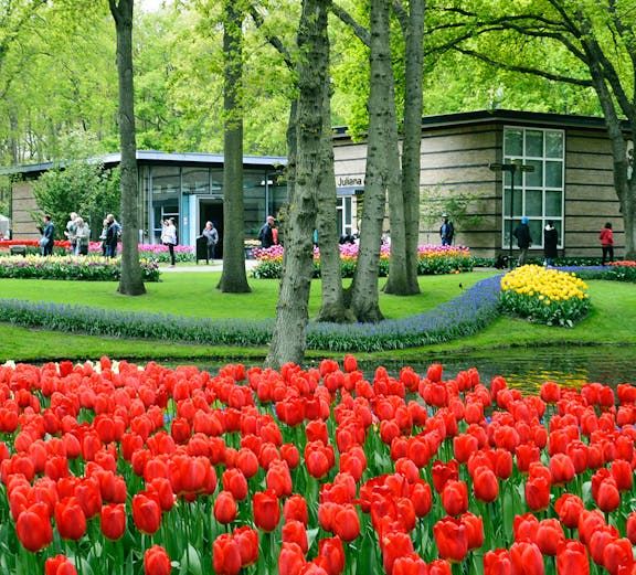 Keukenhof garden with vibrant red tulips and visitors in Amsterdam.
