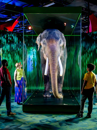 Family viewing elephant exhibit at Our Wondrous Planet, Melbourne Museum.