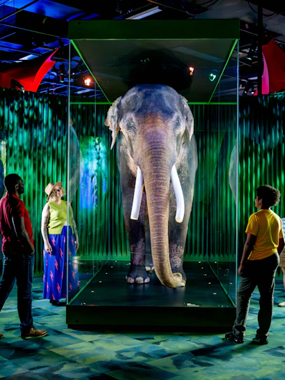 Family viewing elephant exhibit at Our Wondrous Planet, Melbourne Museum.