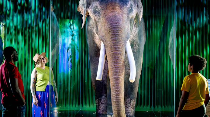 Family viewing elephant exhibit at Our Wondrous Planet, Melbourne Museum.