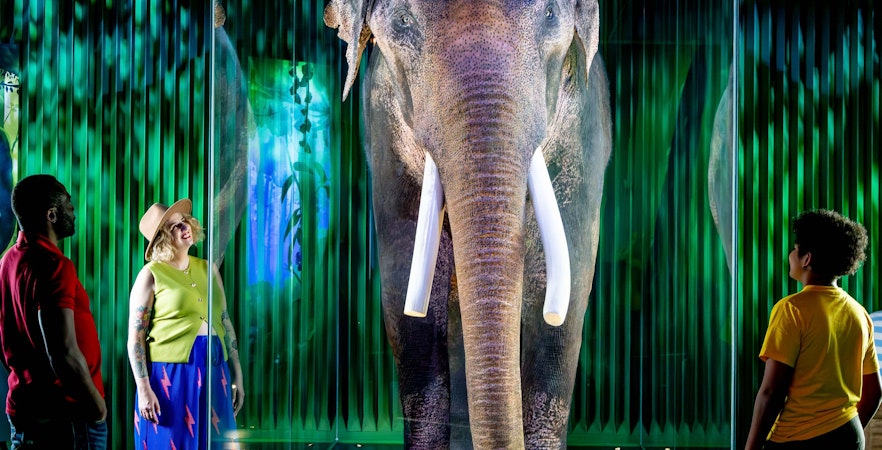 Bilety do muzeum w Melbourne