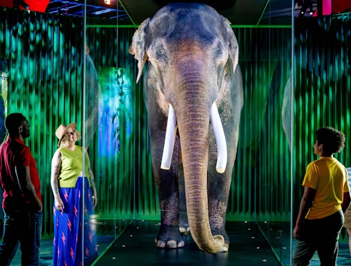 Family viewing elephant exhibit at Our Wondrous Planet, Melbourne Museum.