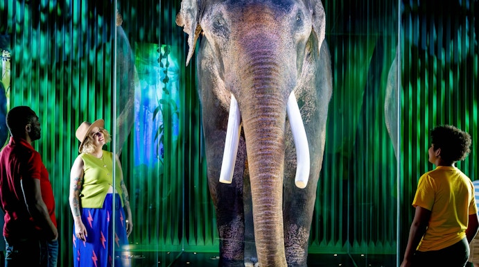 Family viewing elephant exhibit at Our Wondrous Planet, Melbourne Museum.