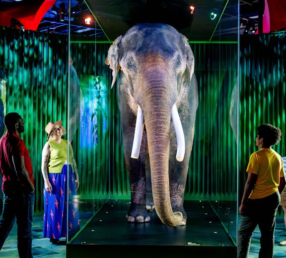 Family viewing elephant exhibit at Our Wondrous Planet, Melbourne Museum.