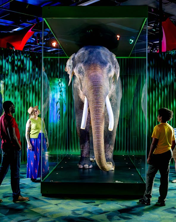 Family viewing elephant exhibit at Our Wondrous Planet, Melbourne Museum.