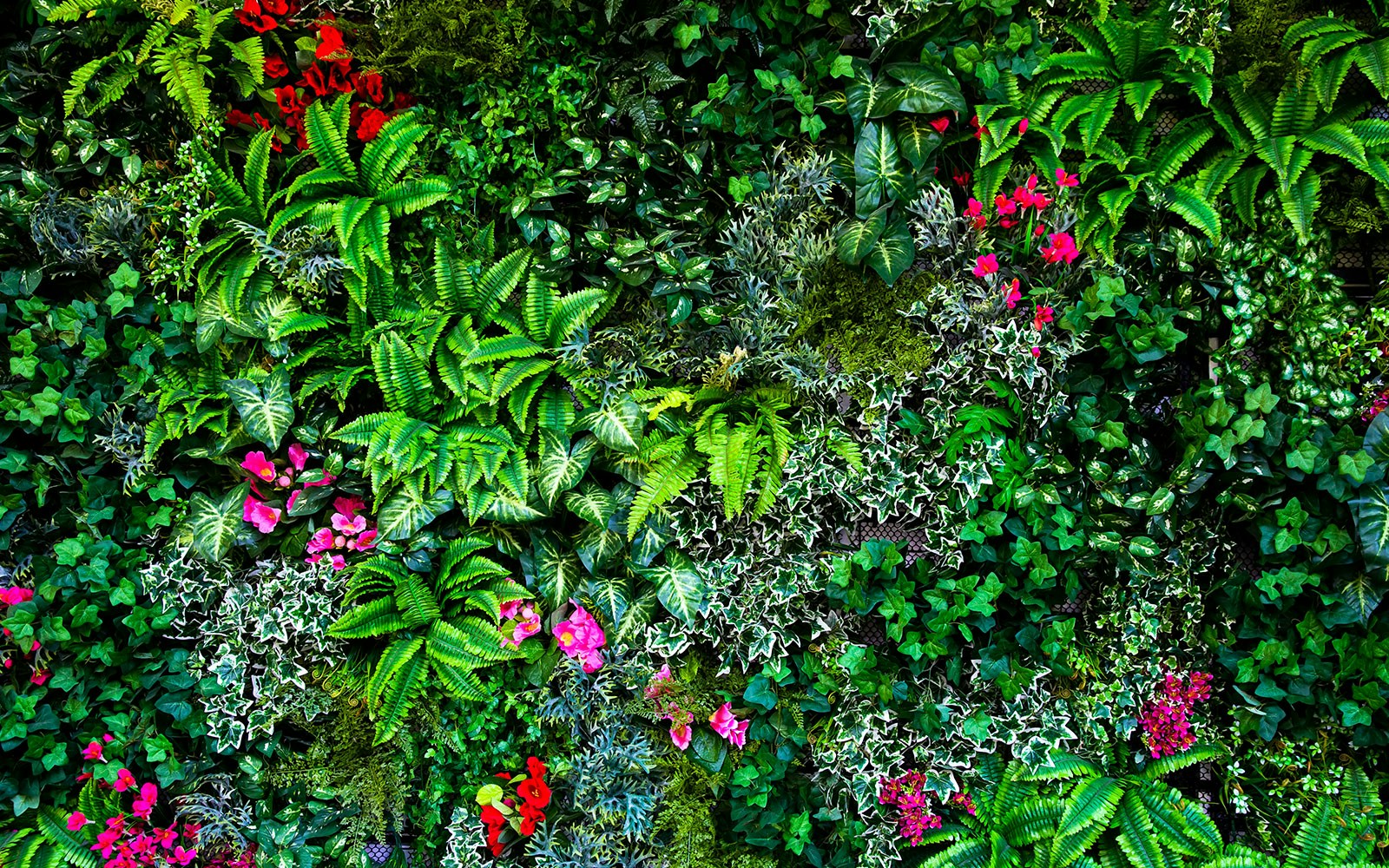 San Francisco Museum of Modern Art