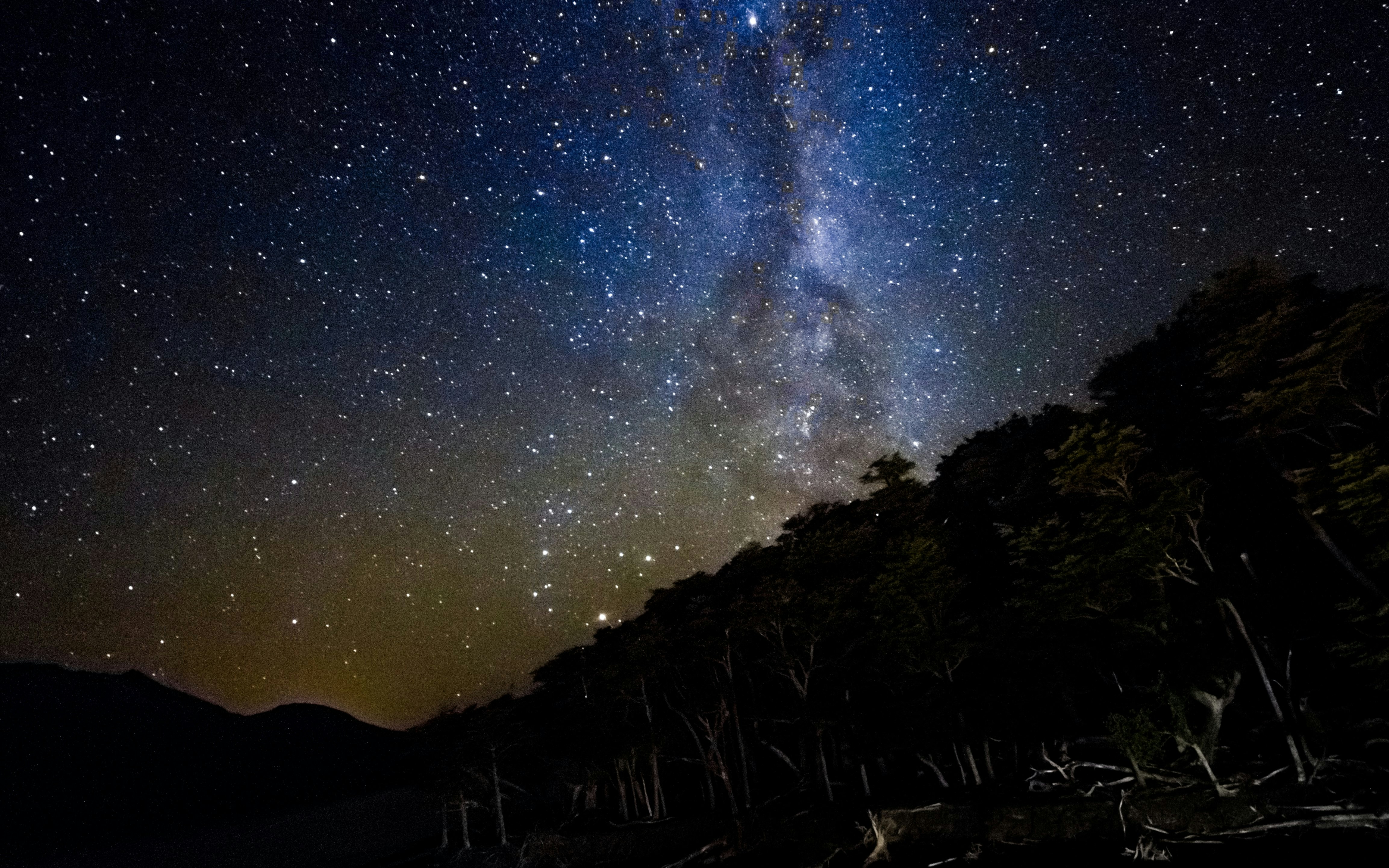 Starlit sky over forest at Perito Moreno, ideal for nighttime stargazing.