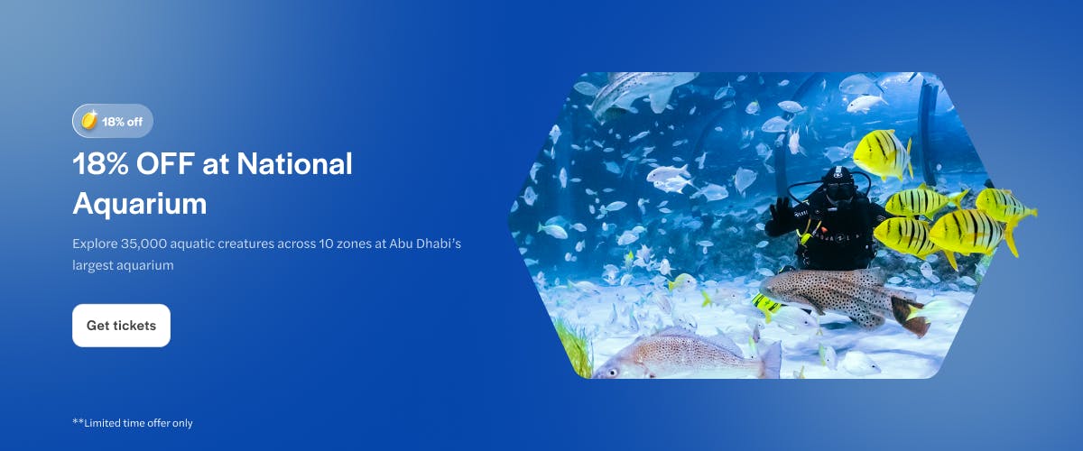 Diver surrounded by fish at National Aquarium Abu Dhabi.