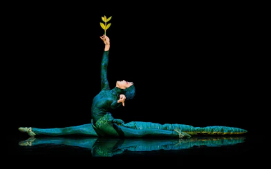 Performer in The Dragon Child show, Sydney, in a split pose holding a branch.