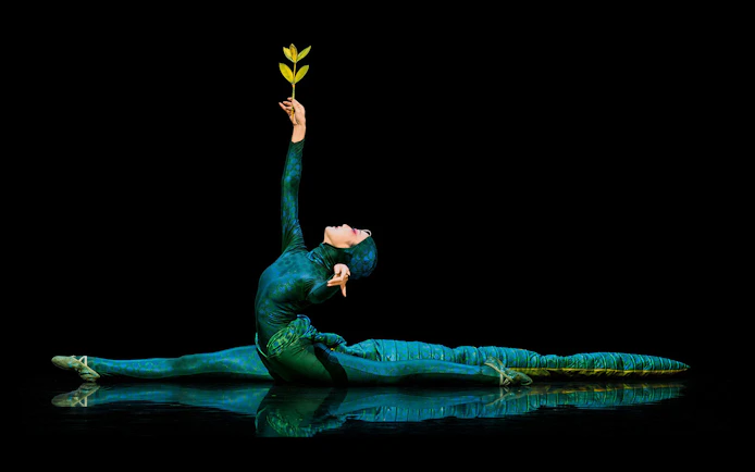 Performer in The Dragon Child show, Sydney, in a split pose holding a branch.