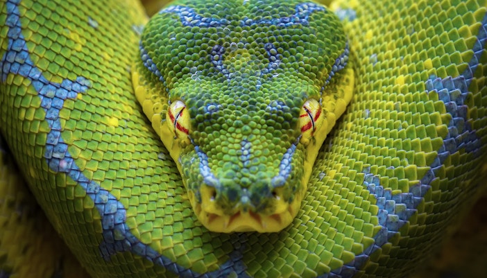 Zoo de Barcelona Tickets