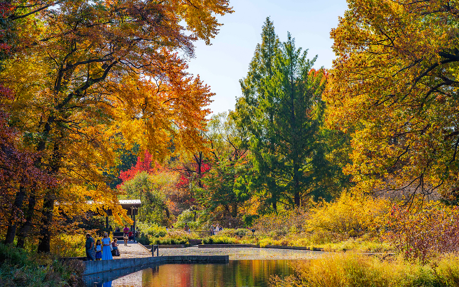 Autumn foliage at New York Botanical Garden with visitors by a pond.