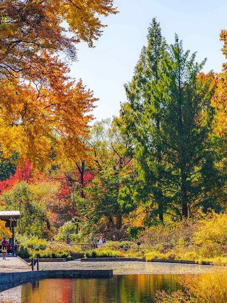 Autumn foliage at New York Botanical Garden with visitors by a pond.