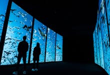 World of Oceanario Lisboa