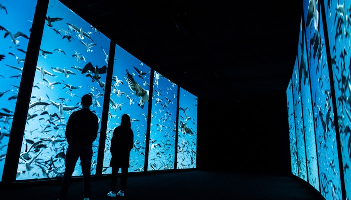 Oceanário de Lisboa