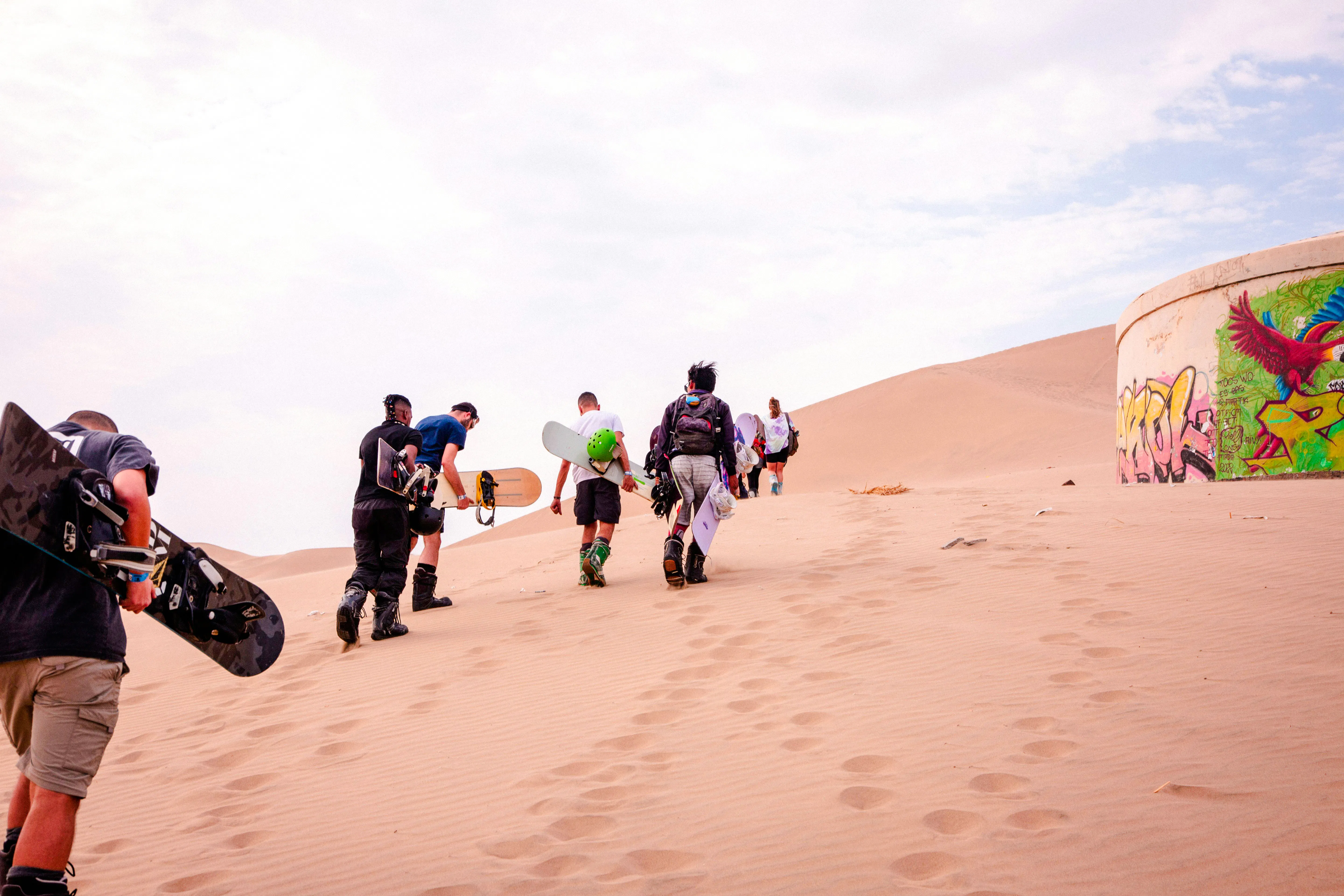 fra lima: dagstur til paracas med båttur til ballestas-øyene, sandbuggy og sandbrett, pisco-smaking og lunsj-7
