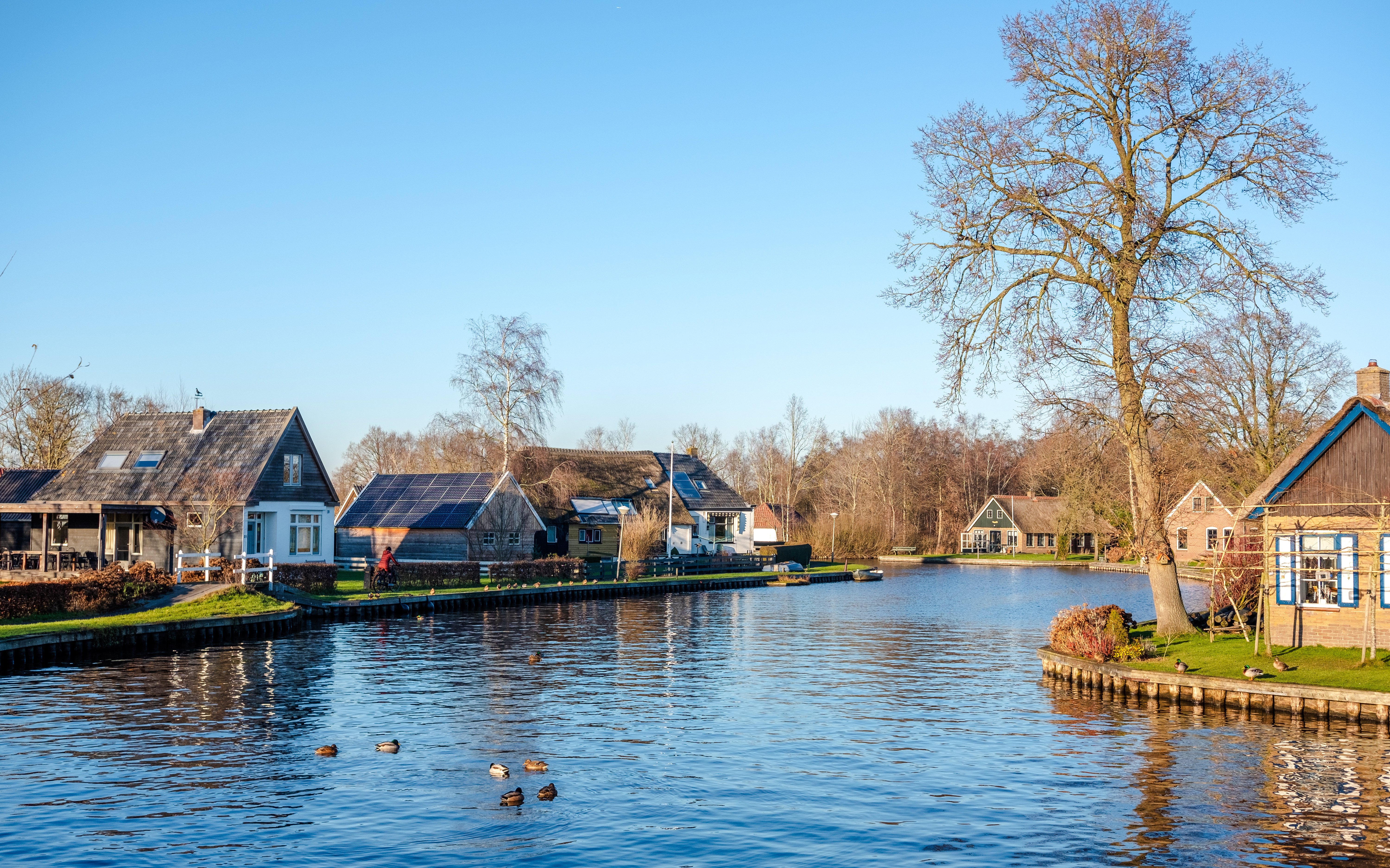 Canal view with traditional houses and ducks in Giethoorn, Amsterdam during winter.