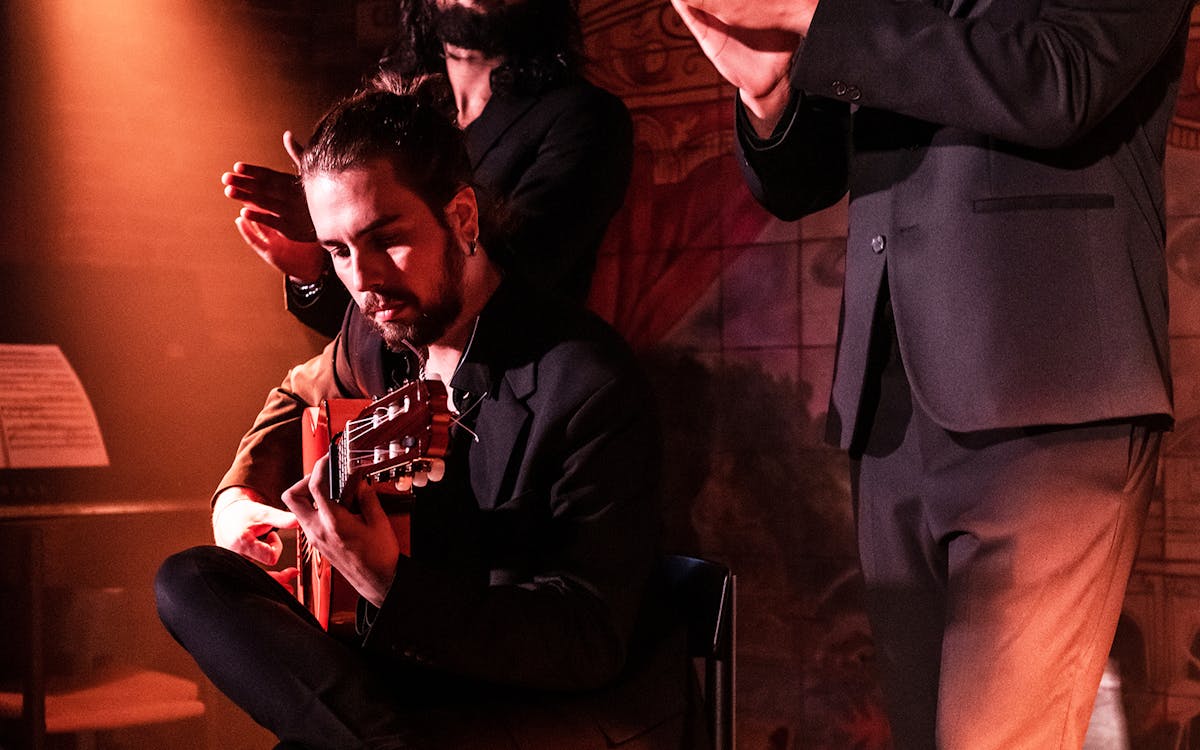 tickets to flamenco de leones show with dinner-3 tickets to flamenco de leones show with dinner-3