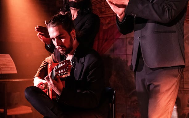 Guitarist performing flamenco at Madrid's Puerta de Alcalá venue.
