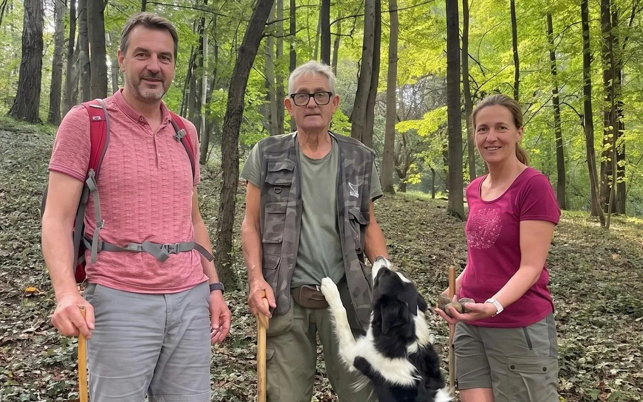 Alba: Truffle Hunting with Cheese and Wine Tasting