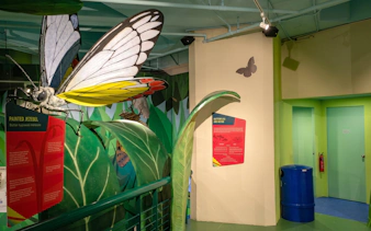 Exhibit of a large butterfly model at Science Centre Singapore.