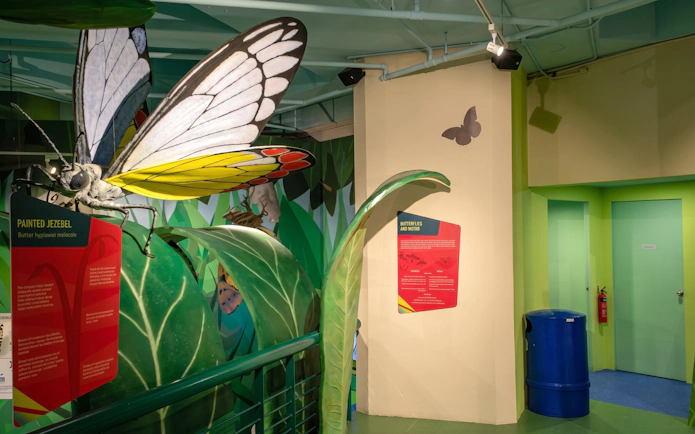 Exhibit of a large butterfly model at Science Centre Singapore.