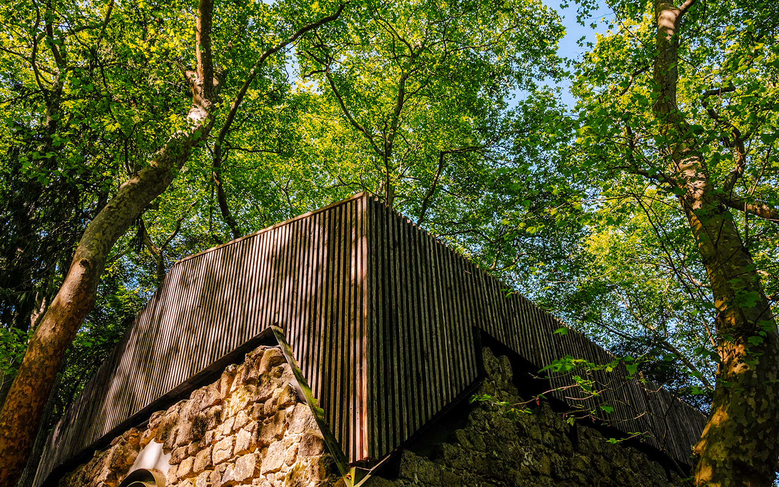 Moorish Castle ruins with Church of São Pedro de Canaferrim in Sintra, Portugal, surrounded by trees.