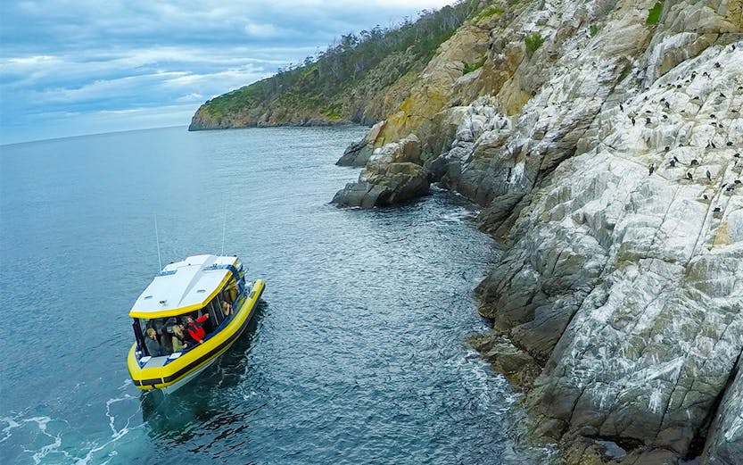 Boat tour near rocky coastline en route to Iron Pot Lighthouse, Tasmania.