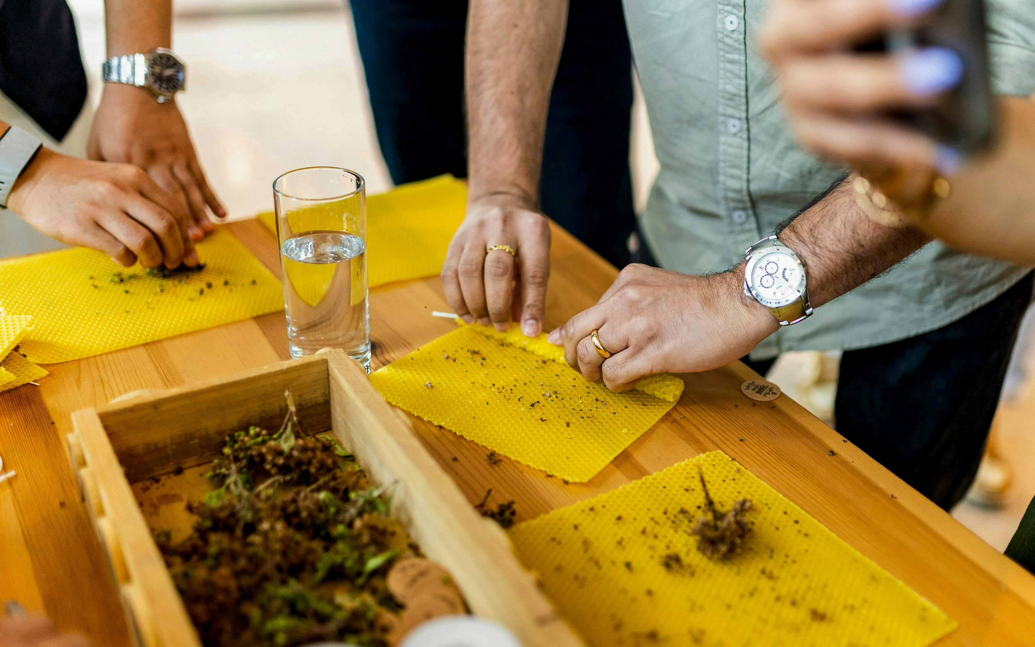 Hands crafting beeswax sheets at A Taste of the Hive, Expo City Dubai.