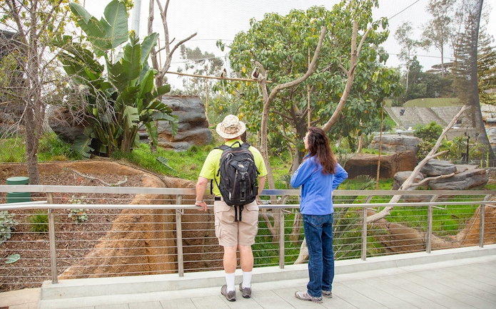Visitors observing giraffes and zebras in their habitat at San Diego Zoo.