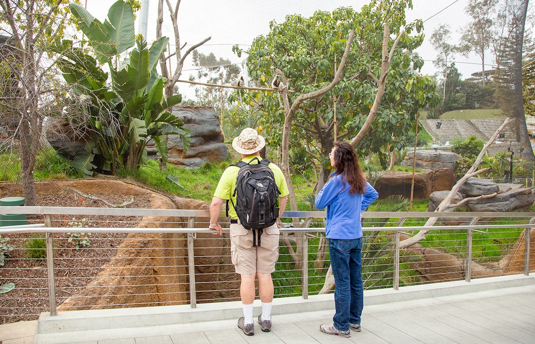 Botanical tours at the San Diego Zoo