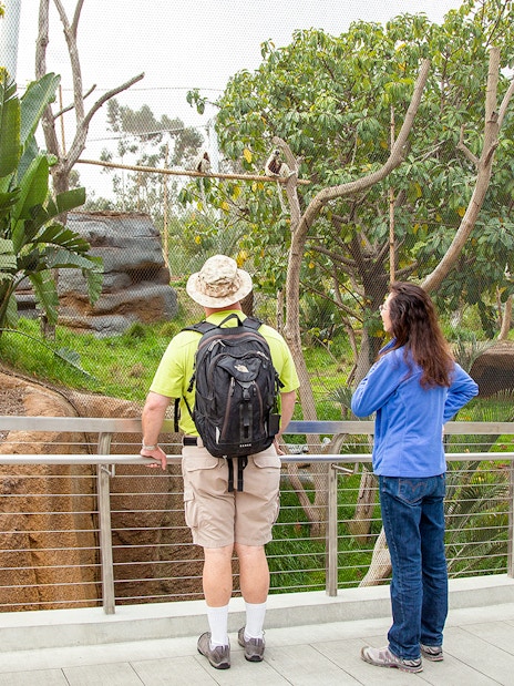 Visitors observing giraffes and zebras in their habitat at San Diego Zoo.