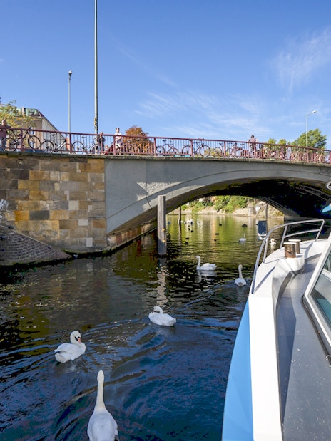 Boat passing under a bridge on the River Spree with swans swimming nearby.