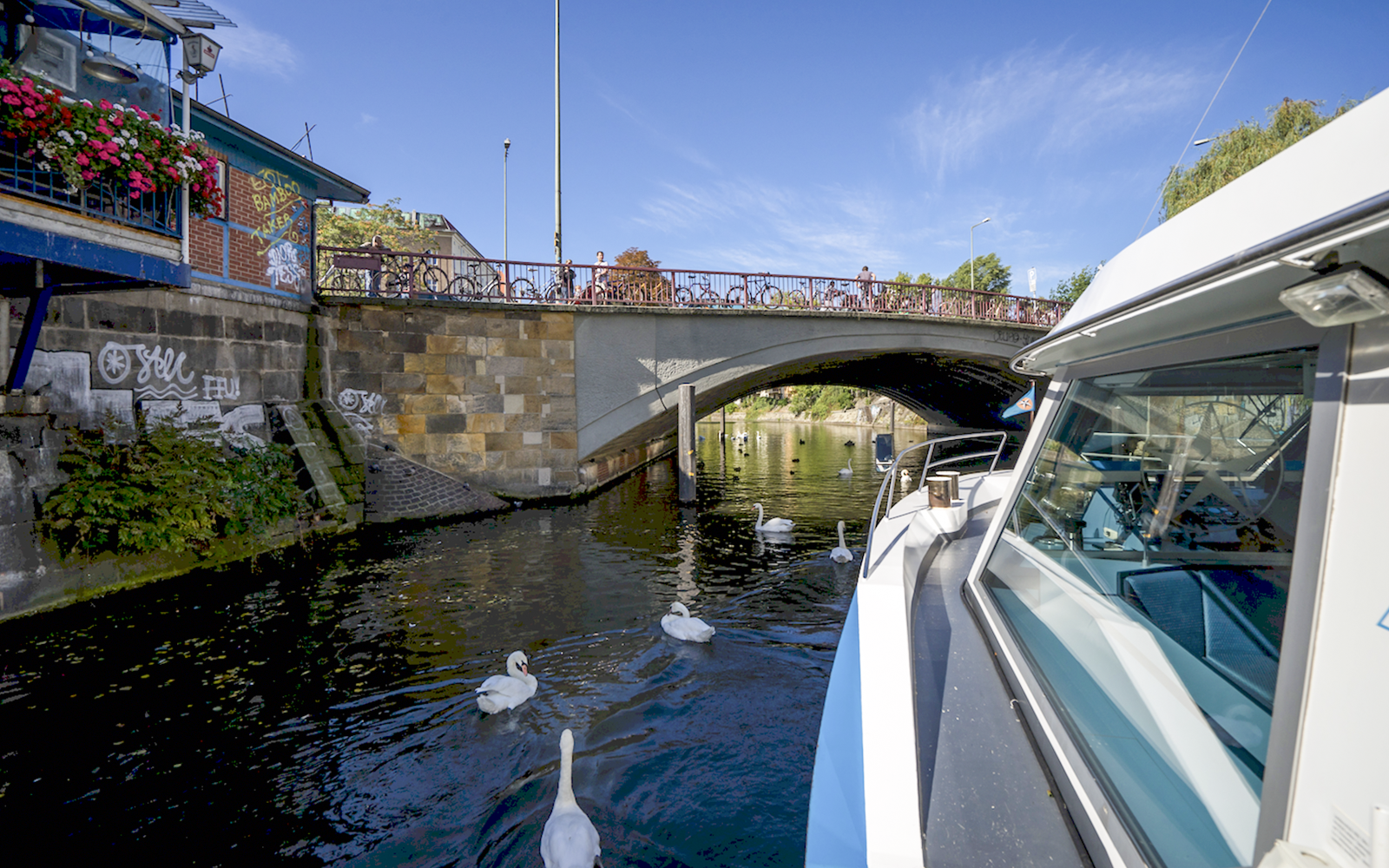 Boat passing under a bridge on the River Spree with swans swimming nearby.