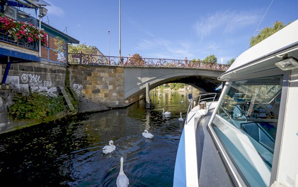 Boat passing under a bridge on the River Spree with swans swimming nearby.