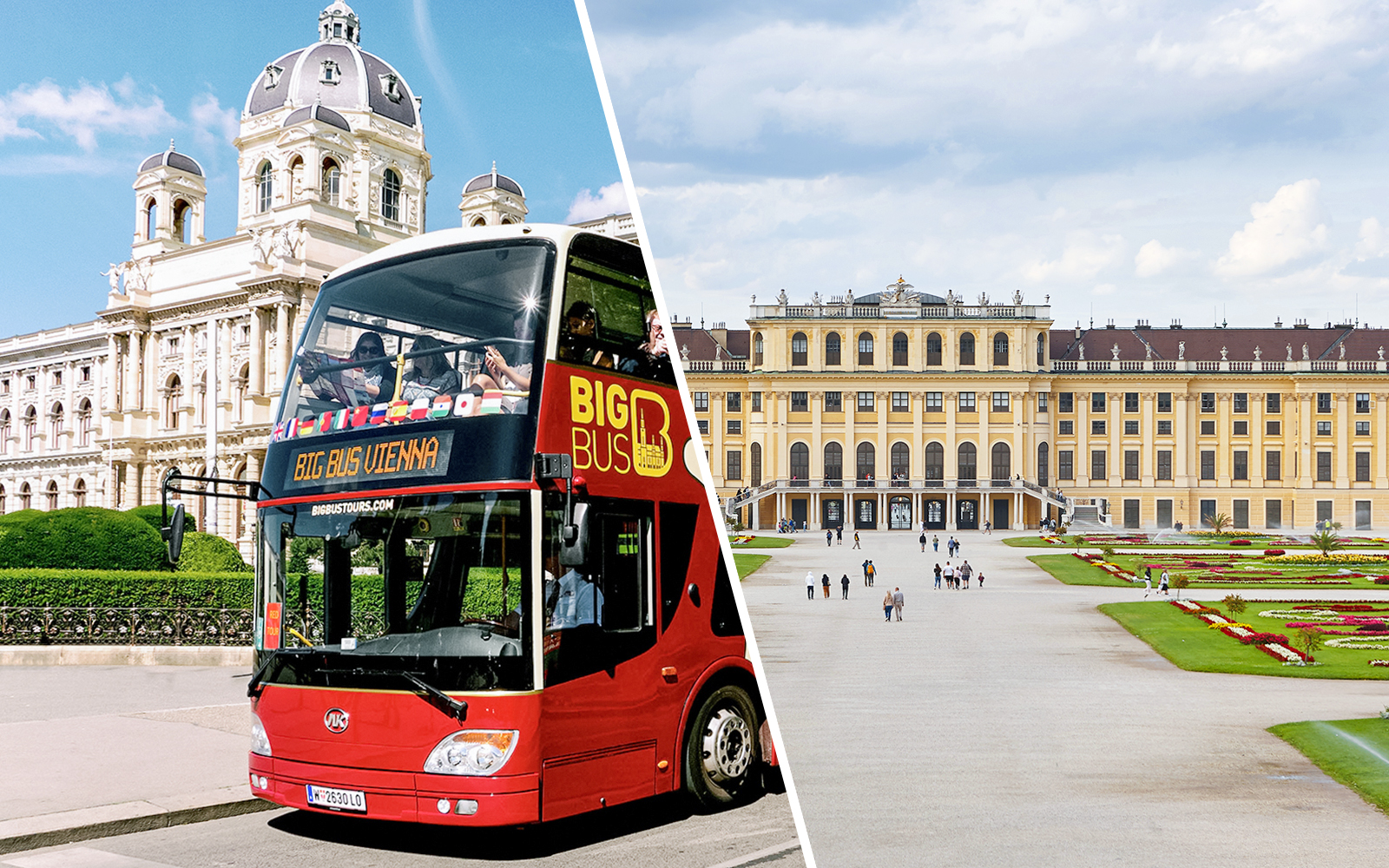 Combo: Vienna Hop-On Hop-Off Bus Tour + Schönbrunn Palace & Belvedere Palace Tickets