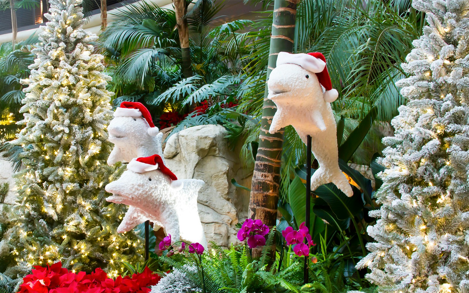 Dolphin sculptures with Santa hats among Christmas trees at Sea World.