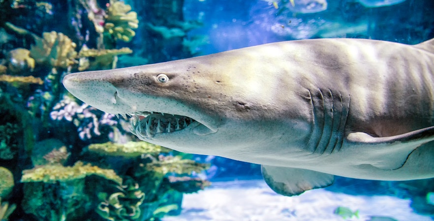 View inside Tropicarium Budapest