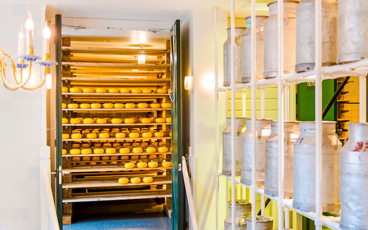 Cheese wheels aging on wooden shelves in a dairy room during a cheese making demonstration.
