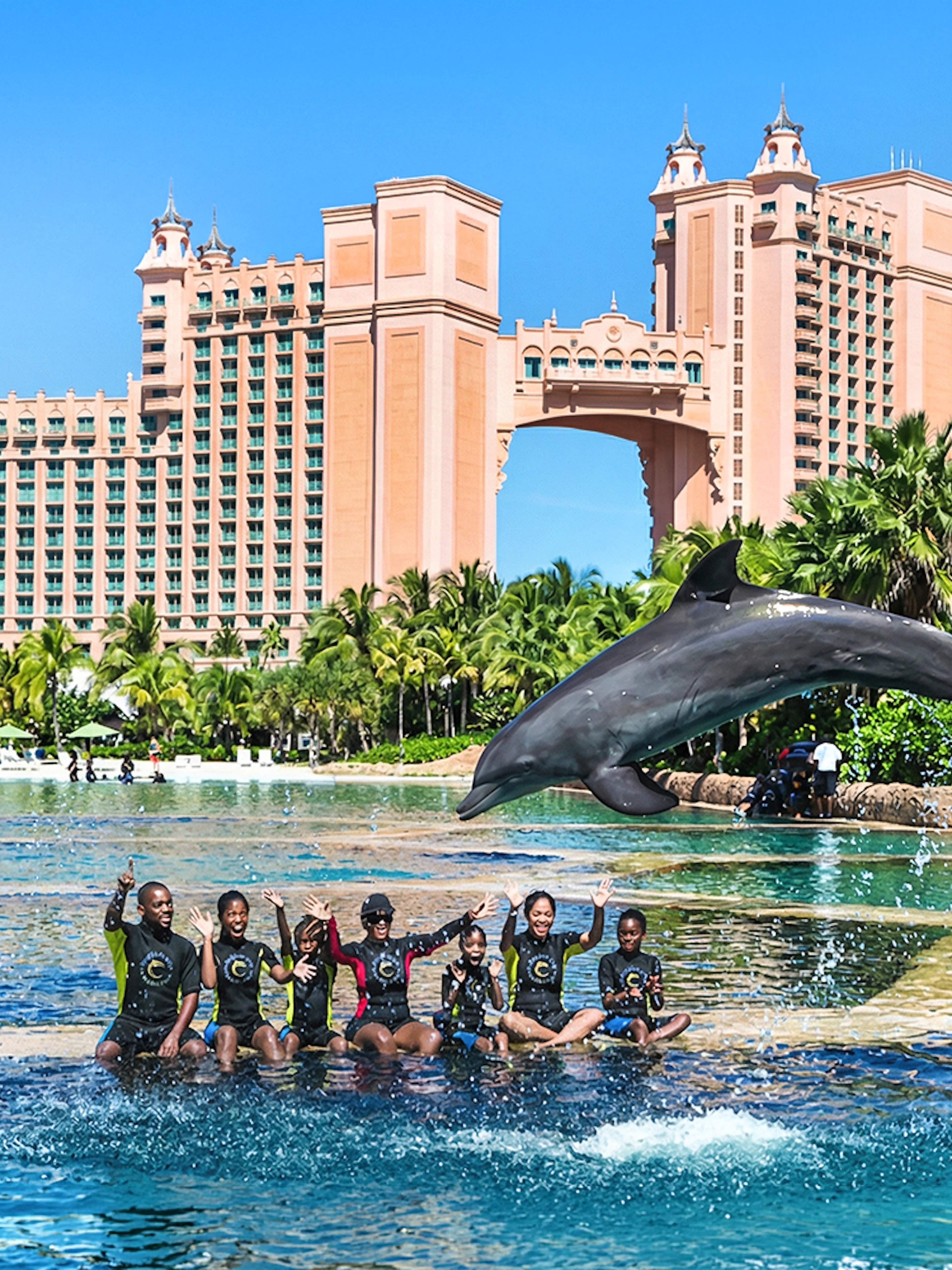 Dolphin leaping over group at Atlantis Aquaventure, Nassau, Bahamas.
