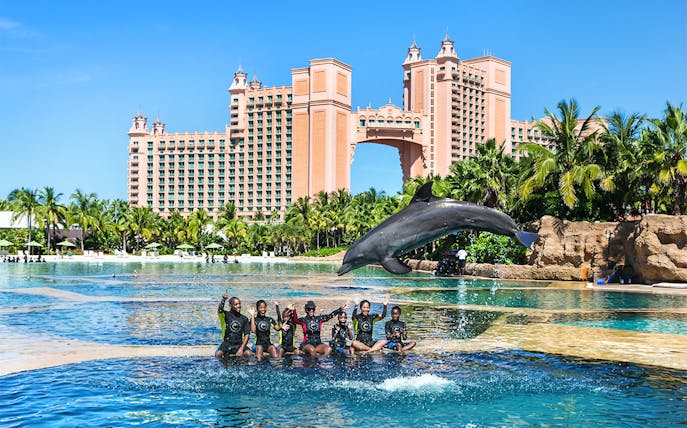 Dolphin leaping over group at Atlantis Aquaventure, Nassau, Bahamas.