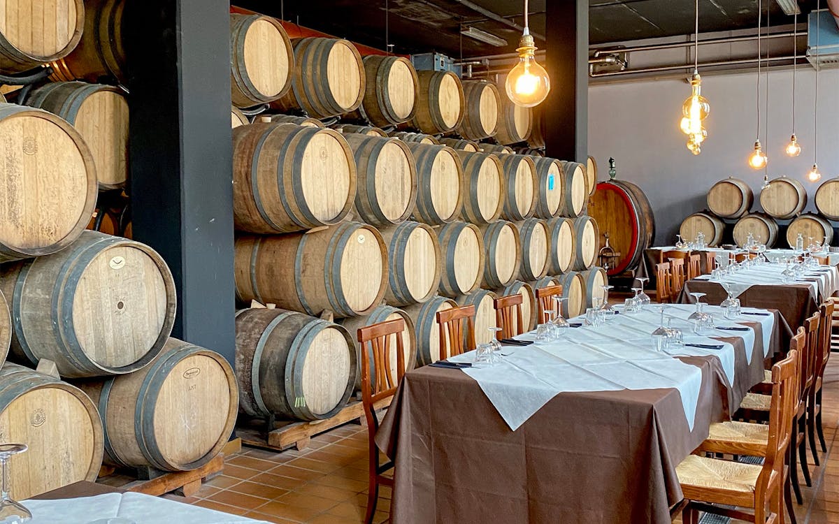 degustación de vinos en chianti: tour de medio día-7 degustación de vinos en chianti: tour de medio día-7